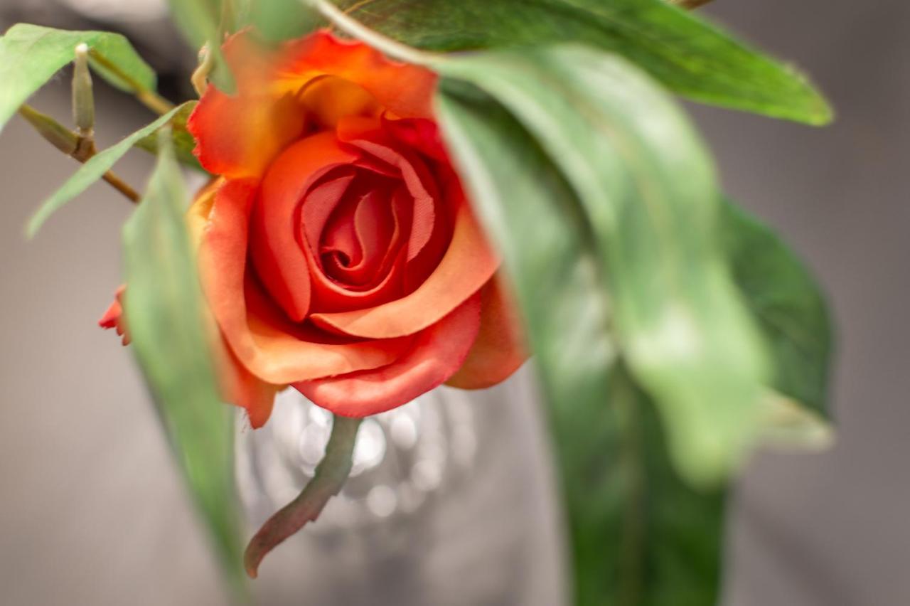 San Lorenzo Five Senses Florens Exteriör bild